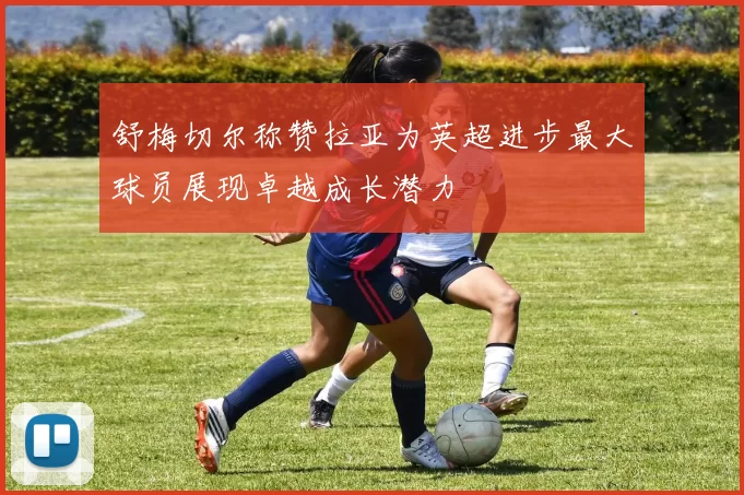 舒梅切尔称赞拉亚为英超进步最大球员展现卓越成长潜力